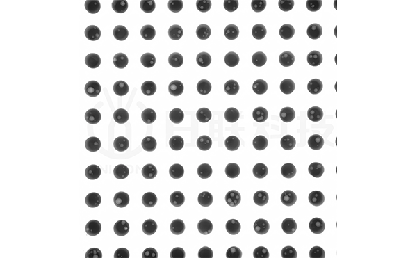 1772605906127659.png bga增強(qiáng)后(帶水印).png