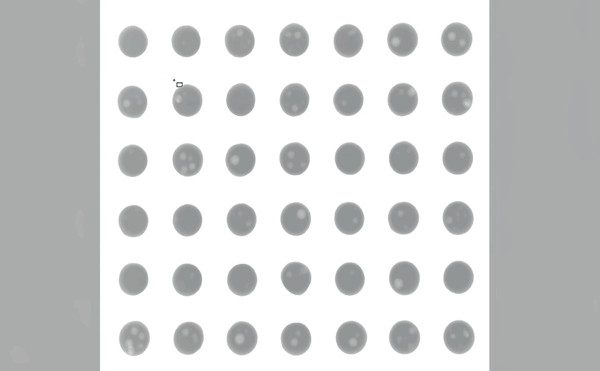 1772605936392769.gif 尾1.gif